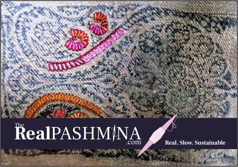 pashmina shawl